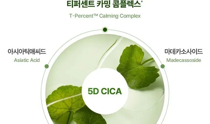 Torriden - Balanceful Cica Toner Pad (x32) (Bulk Box) -  Καταπραϋντικά μαξιλάρια απολέπισης Torriden -  60 τμχ